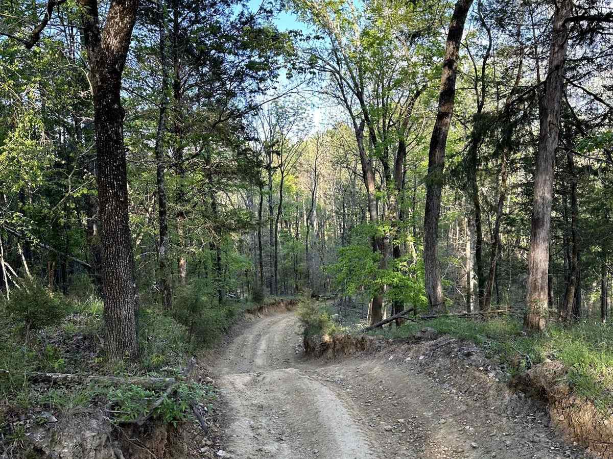 Trail 22 photo 4