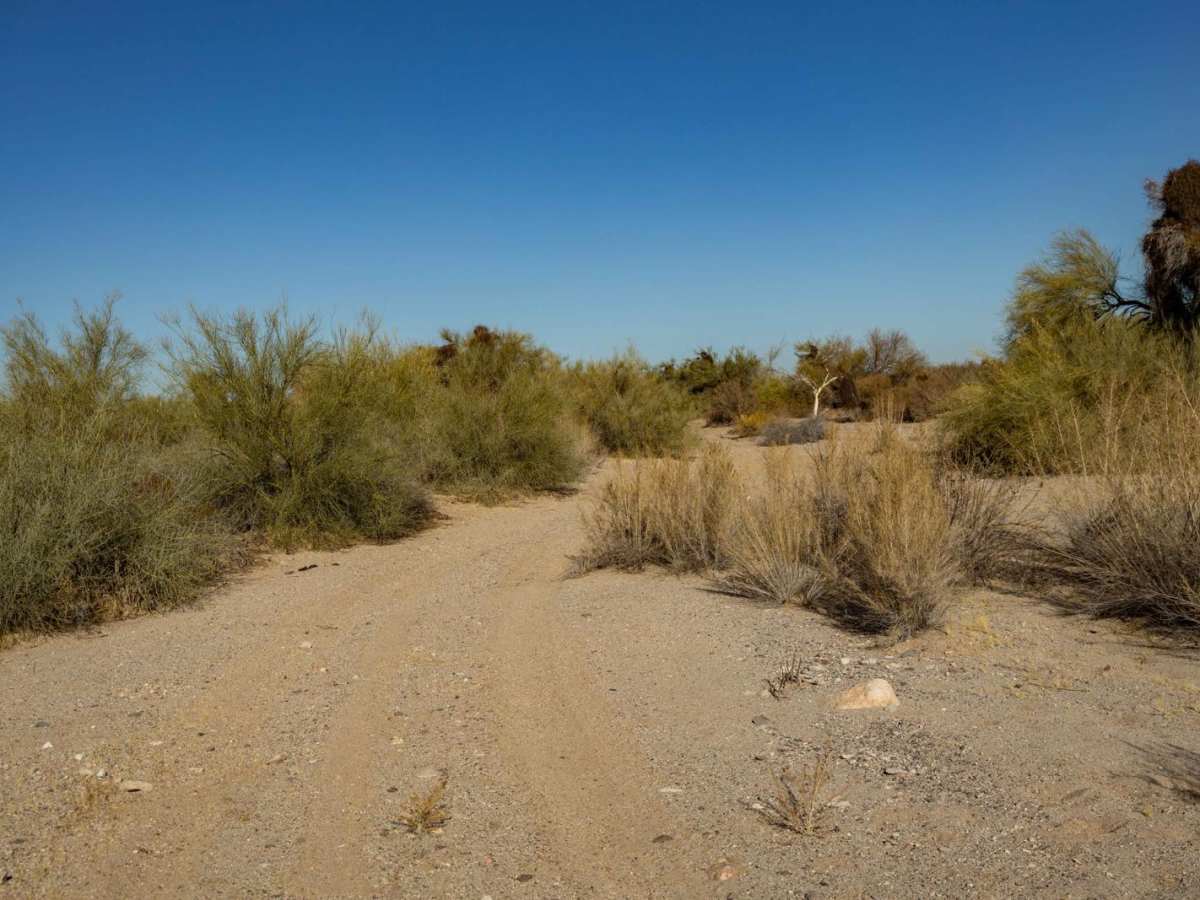Middle Jackrabbit Wash photo 3