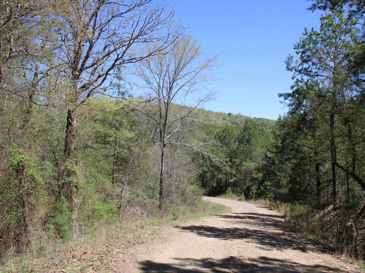 Howard County WMA To Highway 278 photo 6