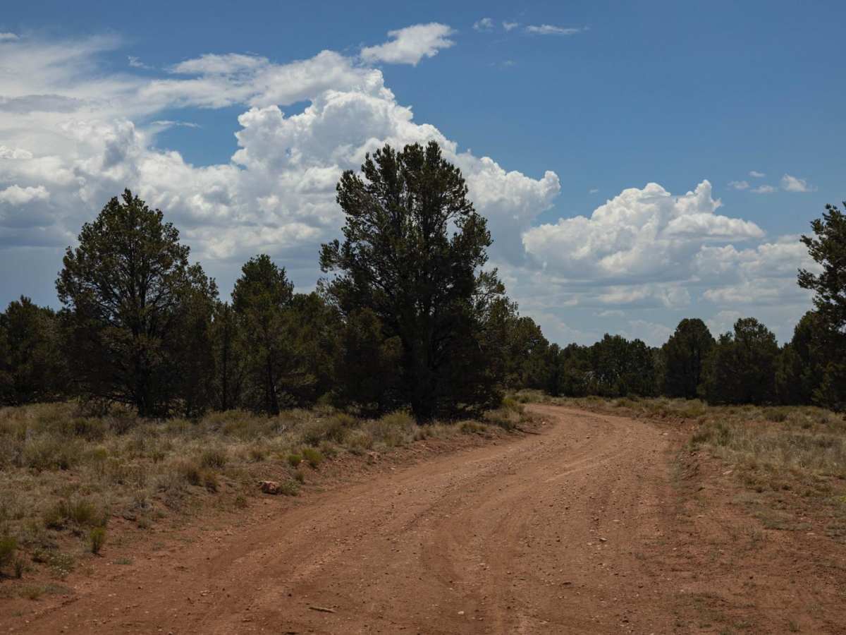 Dog Knobs trail photo