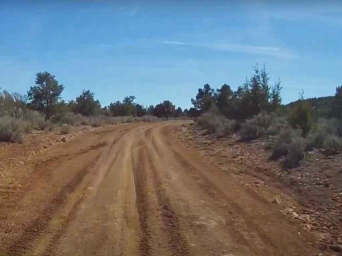 Seegmiller Mountain Road BLM 1020 photo 5
