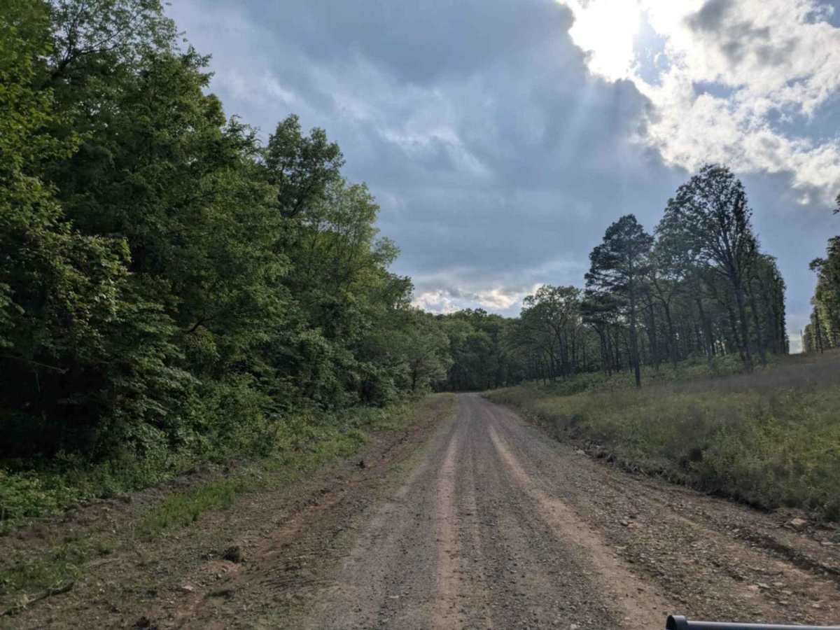 Scott Henderson Gulf Mountain WMA Access Road photo 6