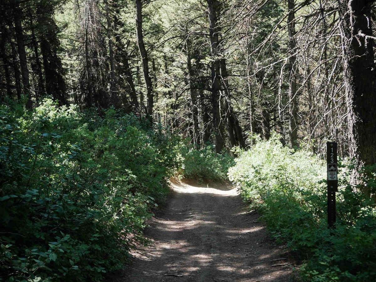 Bear Canyon #5123  photo 5