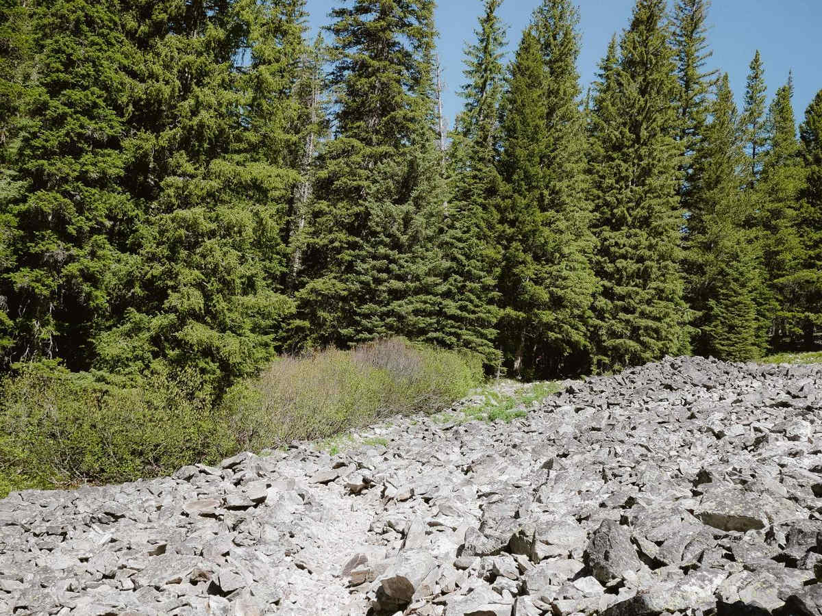 Ditch Creek photo 3
