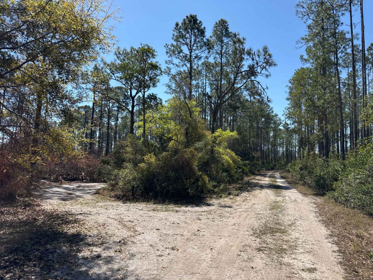 East River Road - ONF 74 photo 2