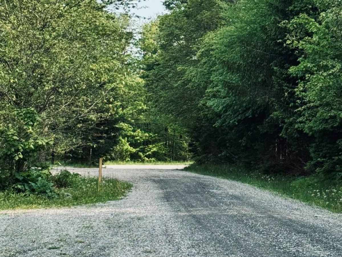 Clear Shade Road photo 3