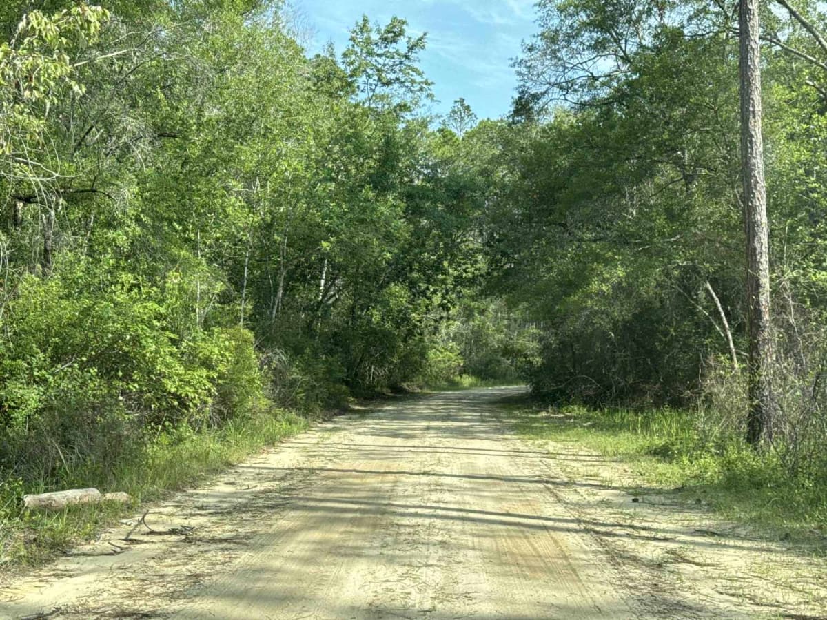 Billy's Road photo 3