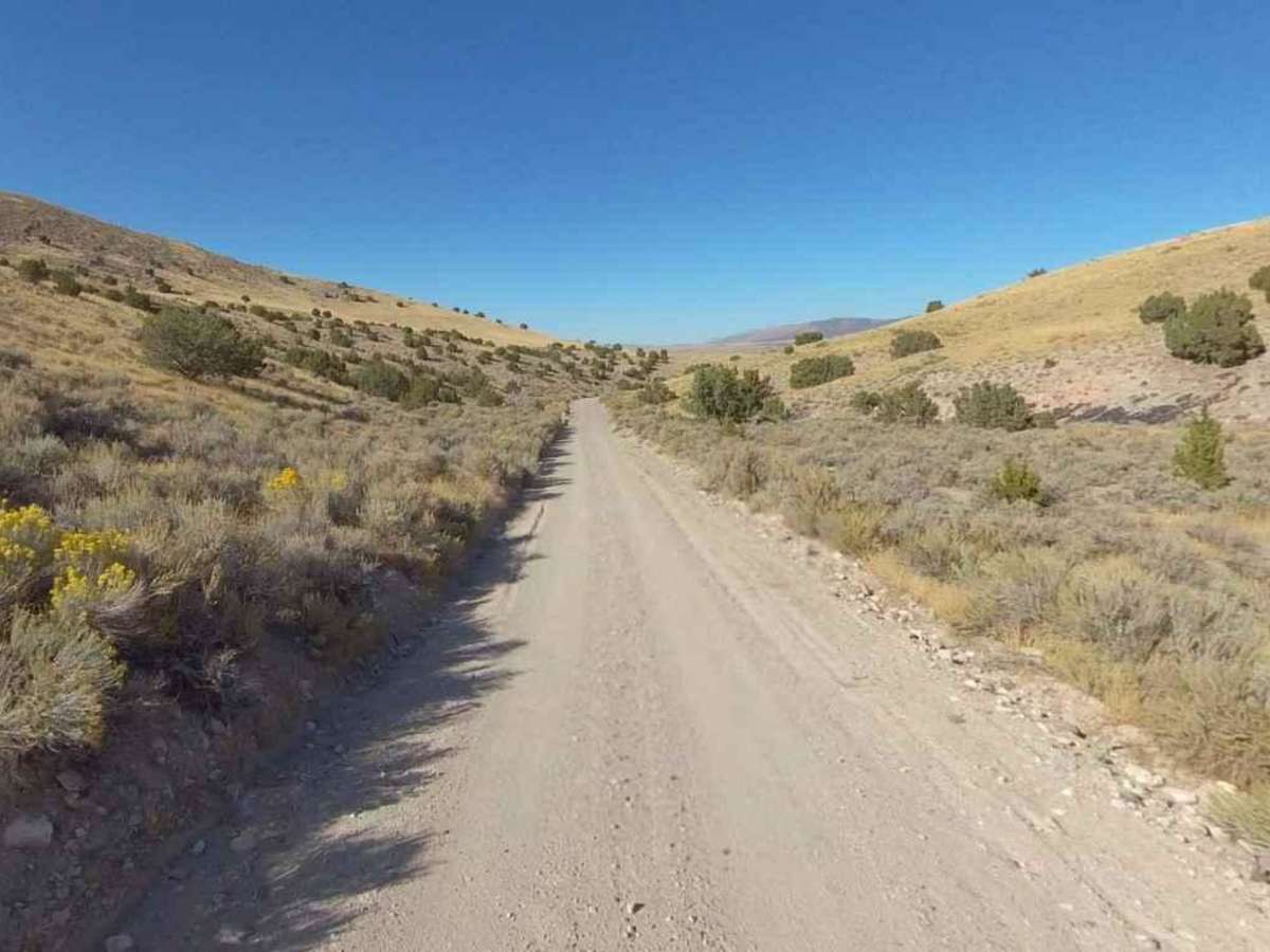 Slow Elk Road-JC8122901 photo 4