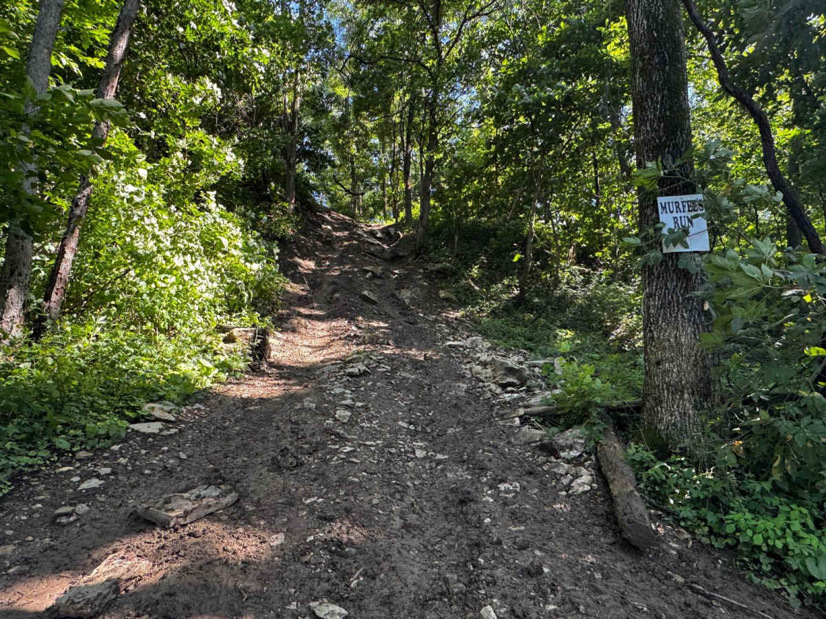 Murfee's Run 208 photo 4