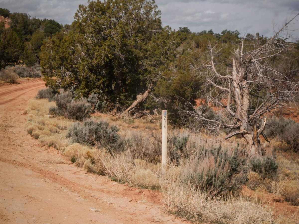 274 Shumway Mines Road photo 5