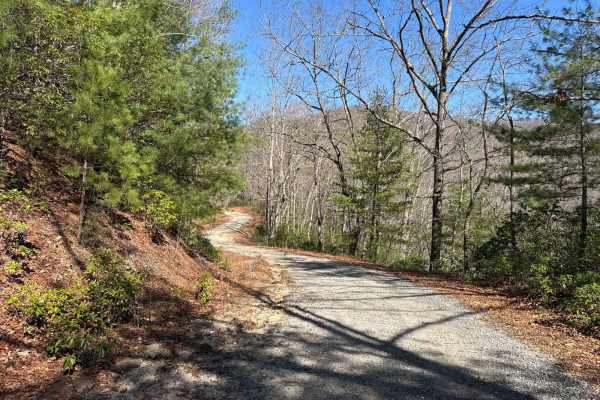 Corbin Creek - FR 698