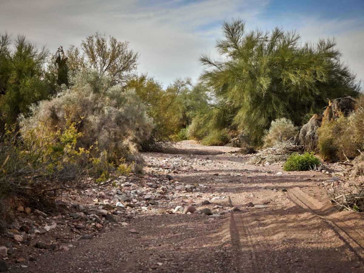 Central Red Raven Wash photo 2