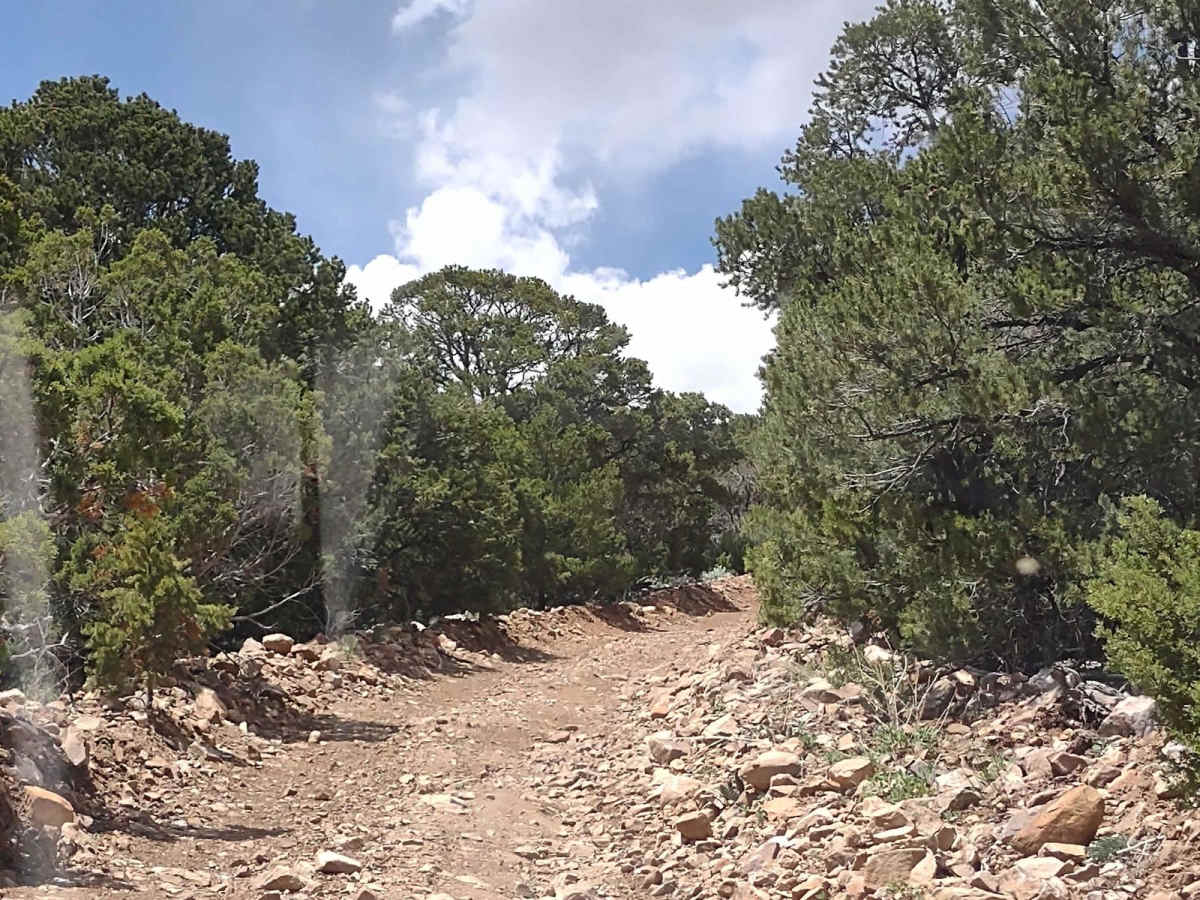 Cottonwood Road - Bullion Canyon Interconnect photo 2