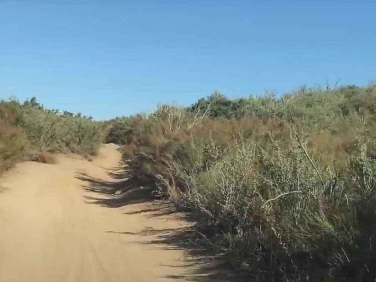 Gunslinger Trail #11 photo 5
