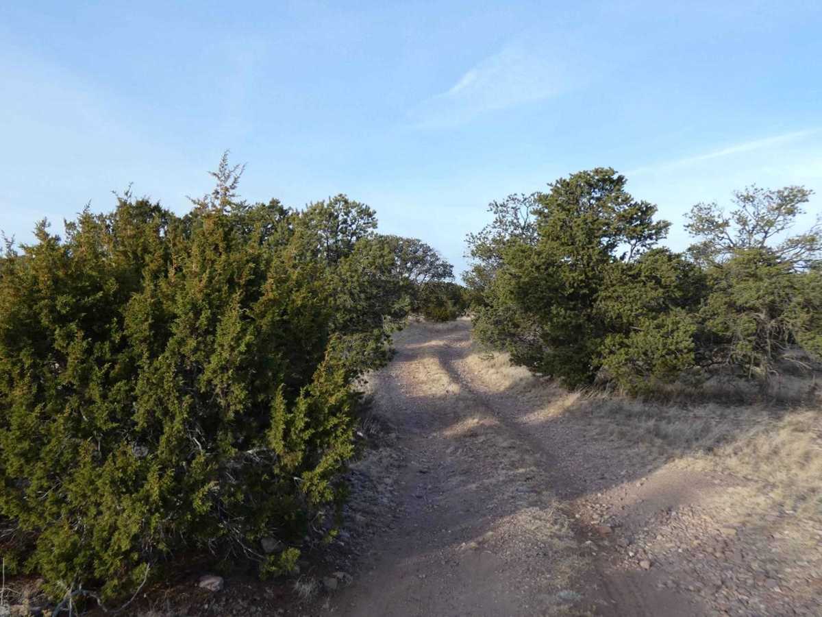 Gallinas Palisade photo 6