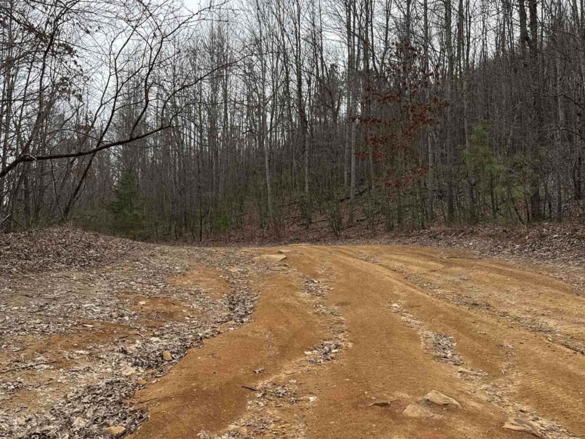 #96 Charlie's Trail photo 5