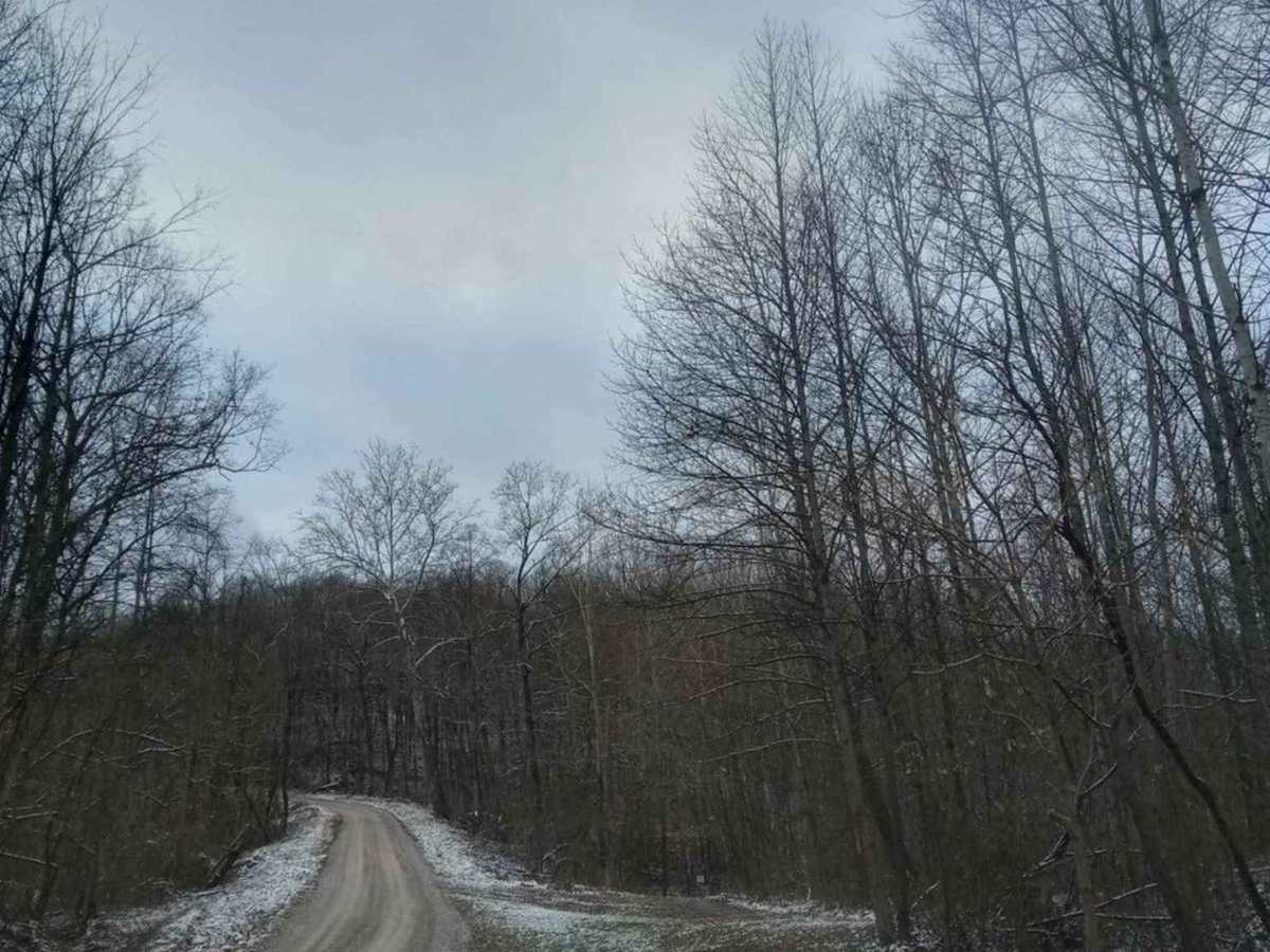 Tunnel Hill trail photo