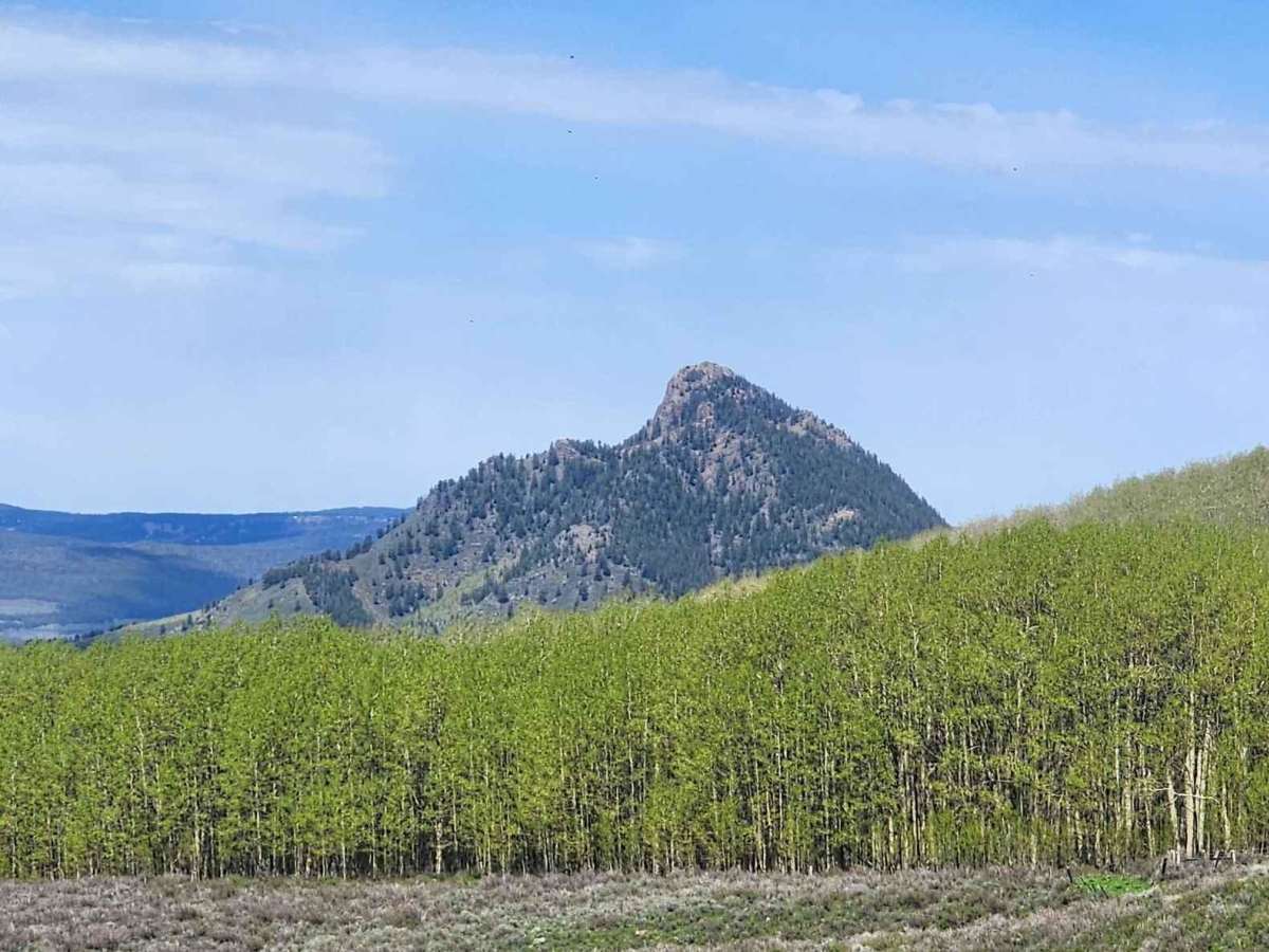 Chimney Rock Road (West Carter Mountain) trail photo