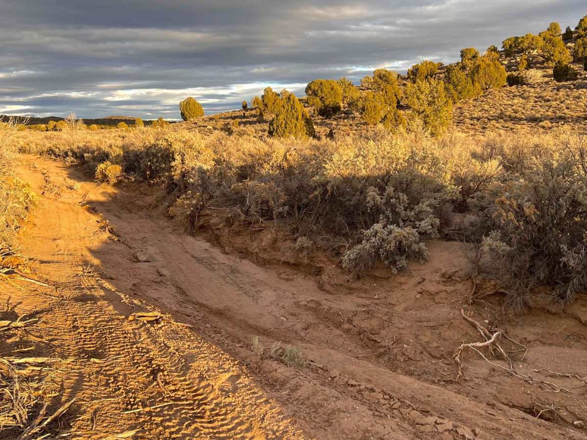 Willow Springs Half Loop photo 5