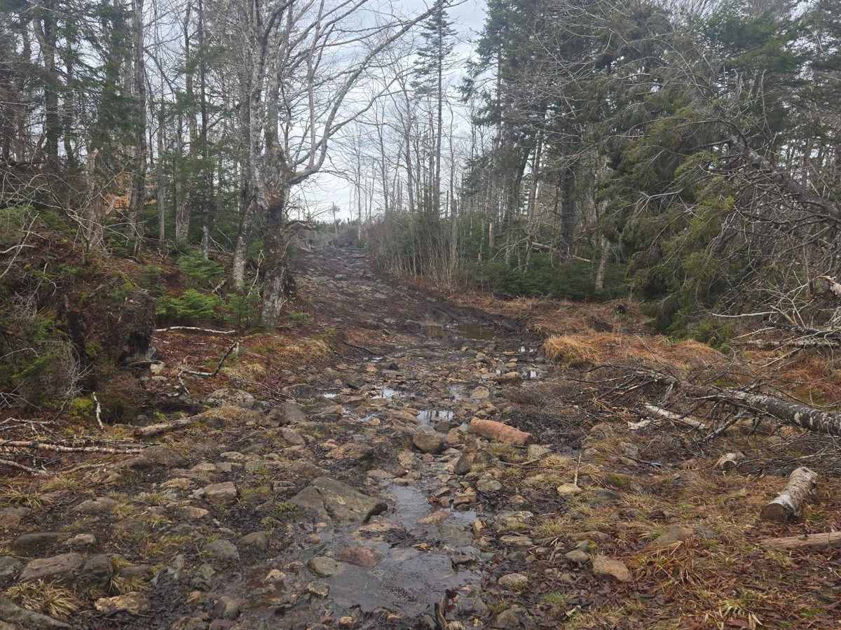 Rocky brook rd photo 4
