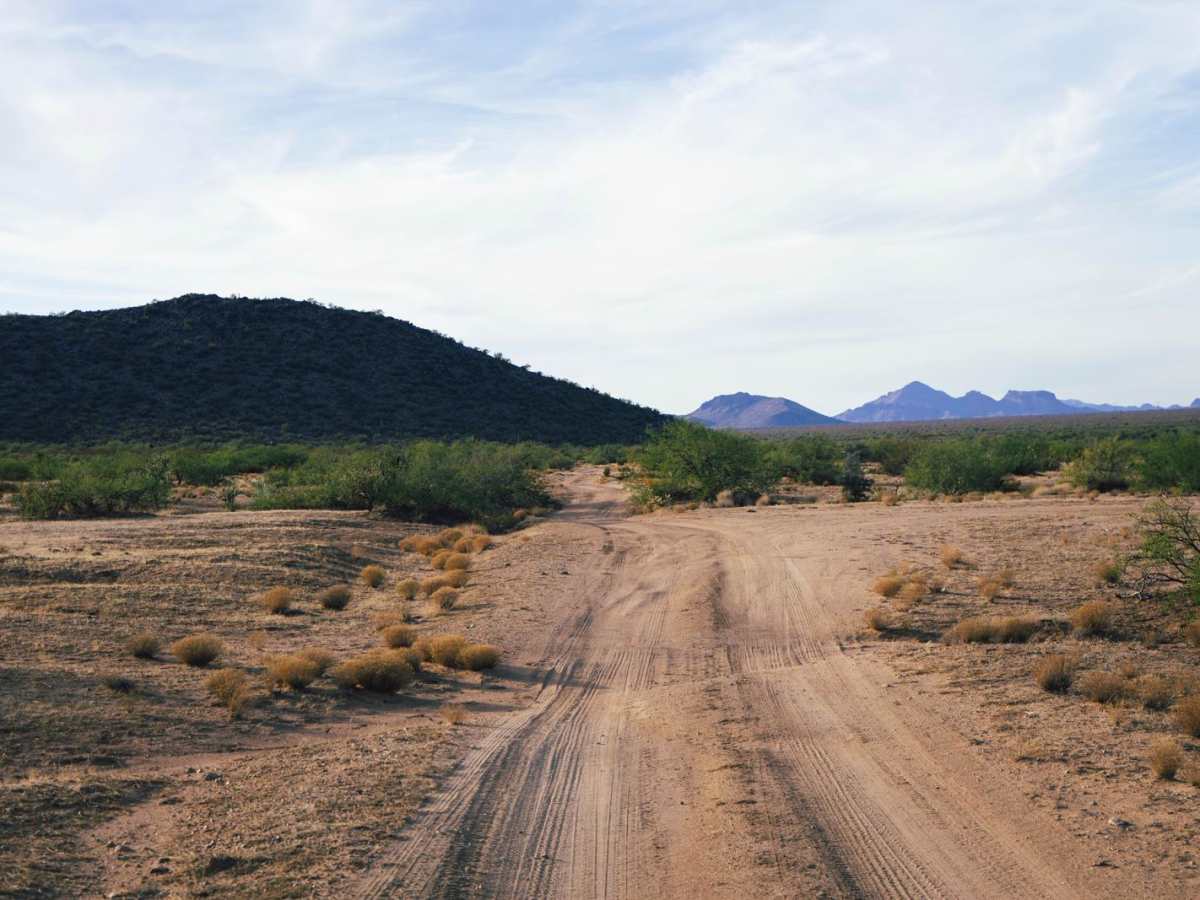 Jam Ranch photo 6