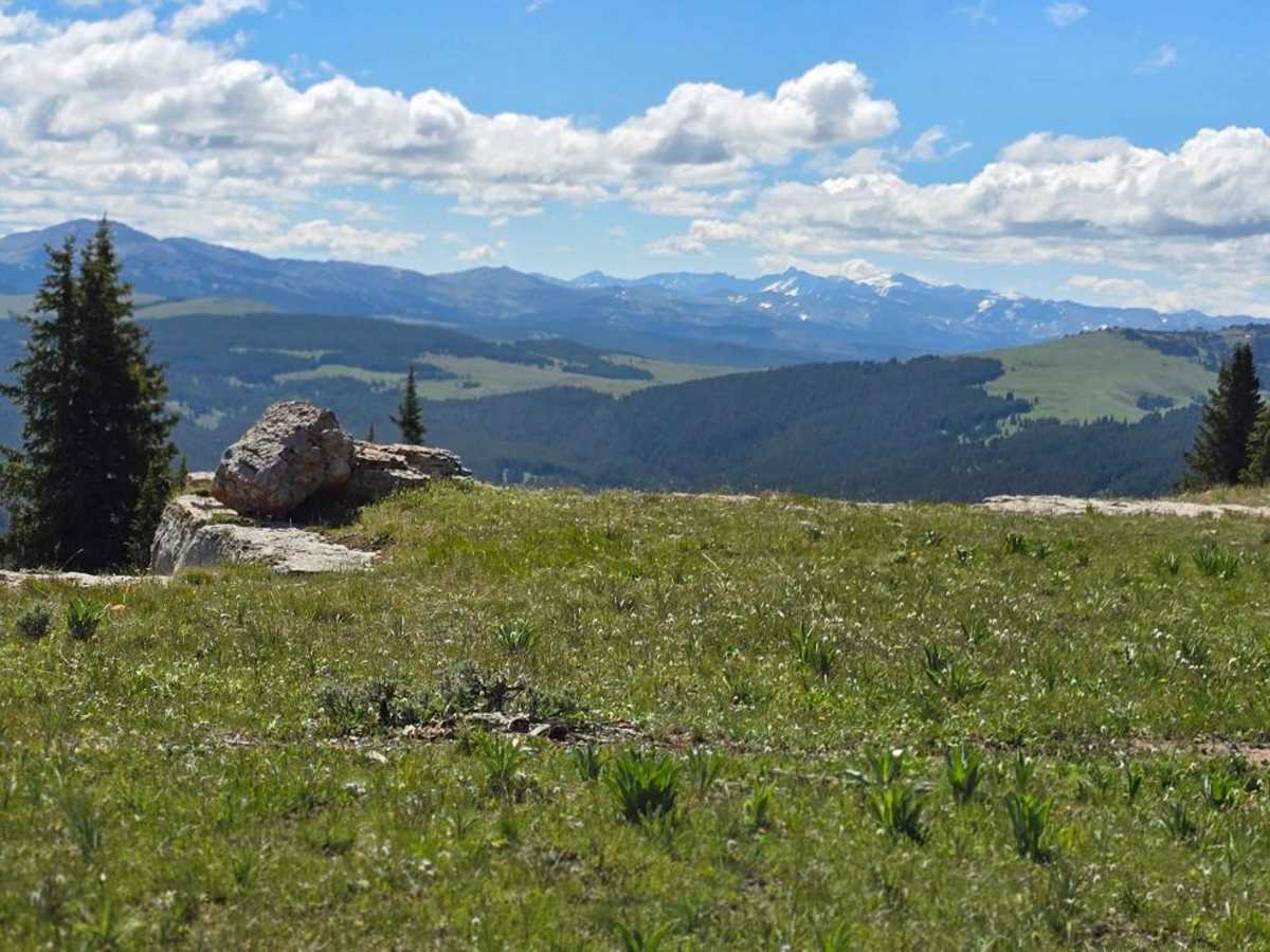 Copmans Tomb - Grouse Creek (Trails 216 & 219) trail photo