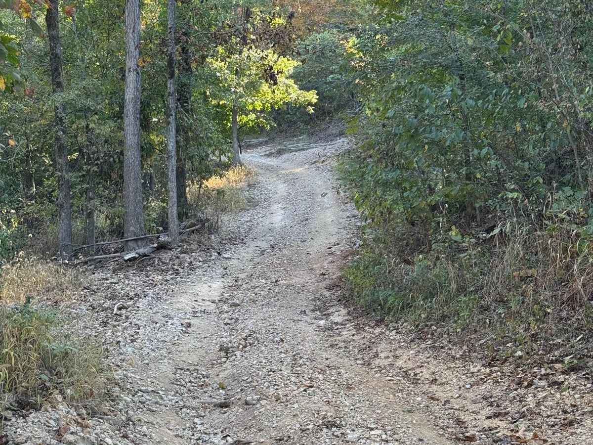 Green 5 trail photo