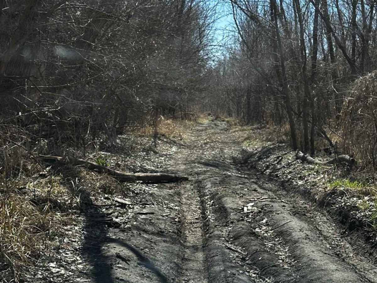 Riverside Dirt Trail - 735A Road photo 5