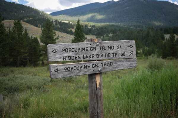 Porcupine Creek #34