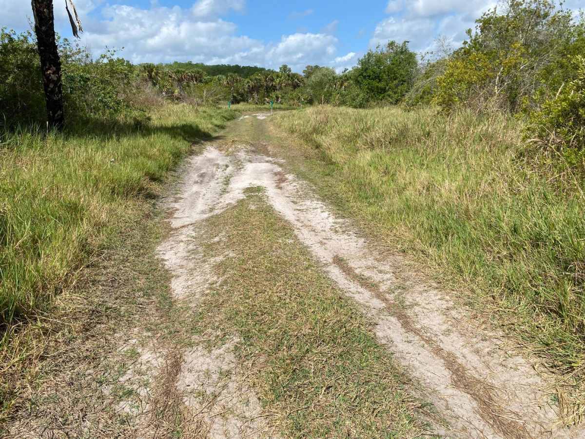 Windmill-Plains Trail photo 5
