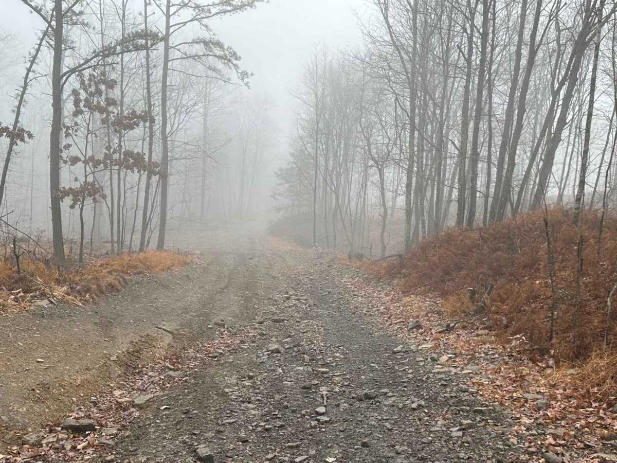 Hill Island Road to Paradise Connector photo 2