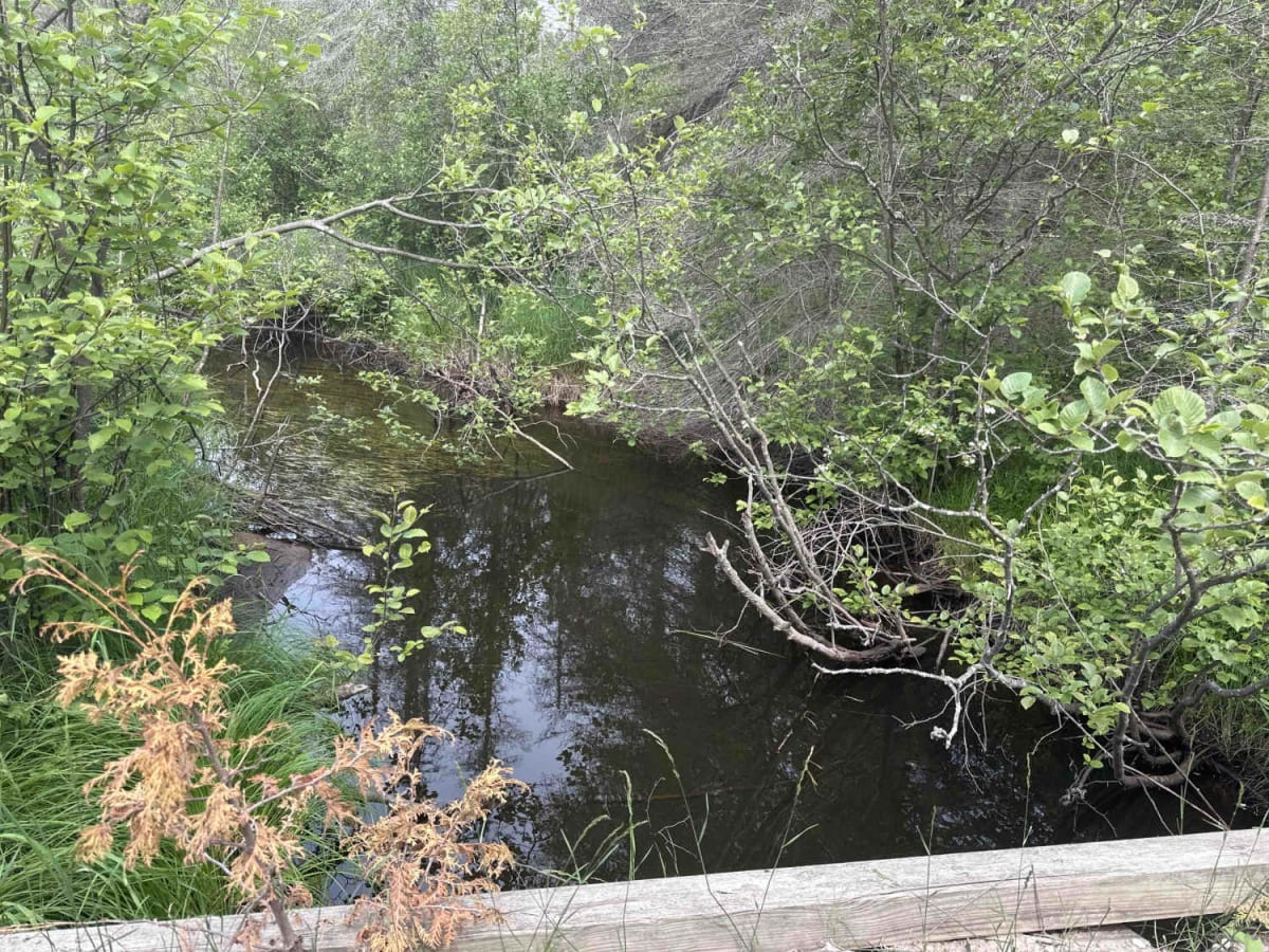 Brevoort River photo 6