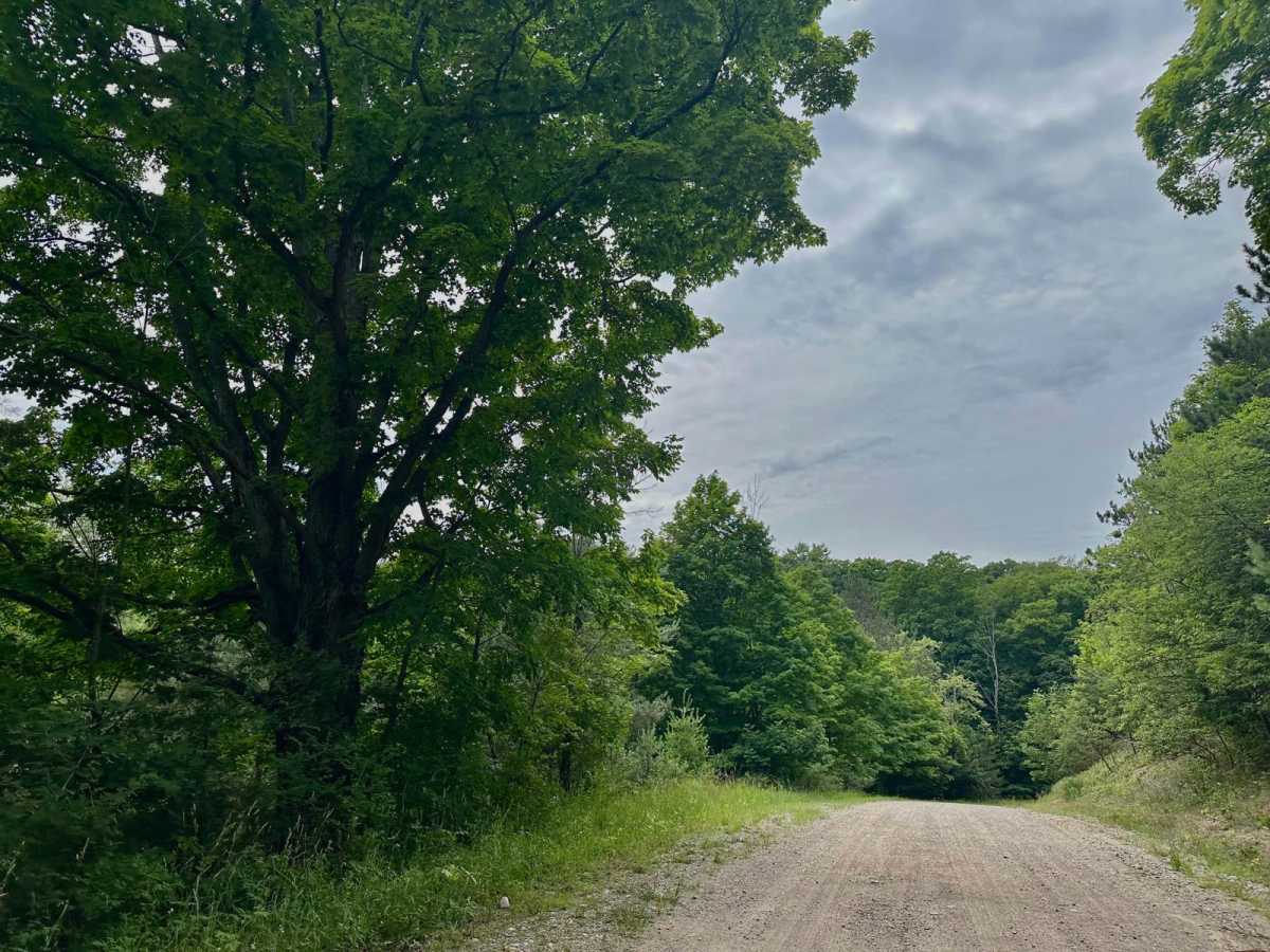 Burnham Road trail photo