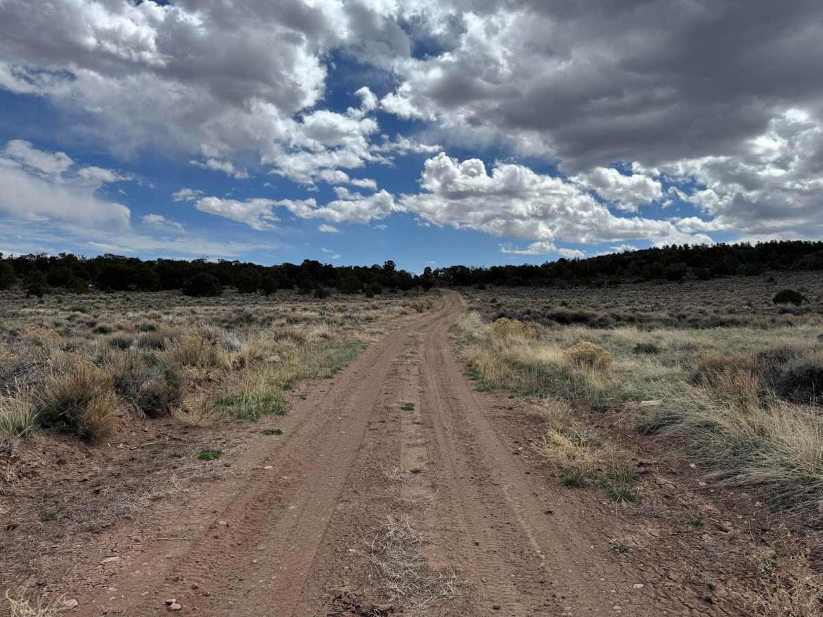 Polar Mesa photo 6