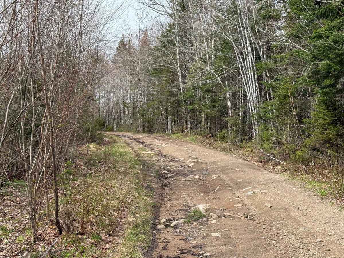 Dean Chapter Trail photo 4