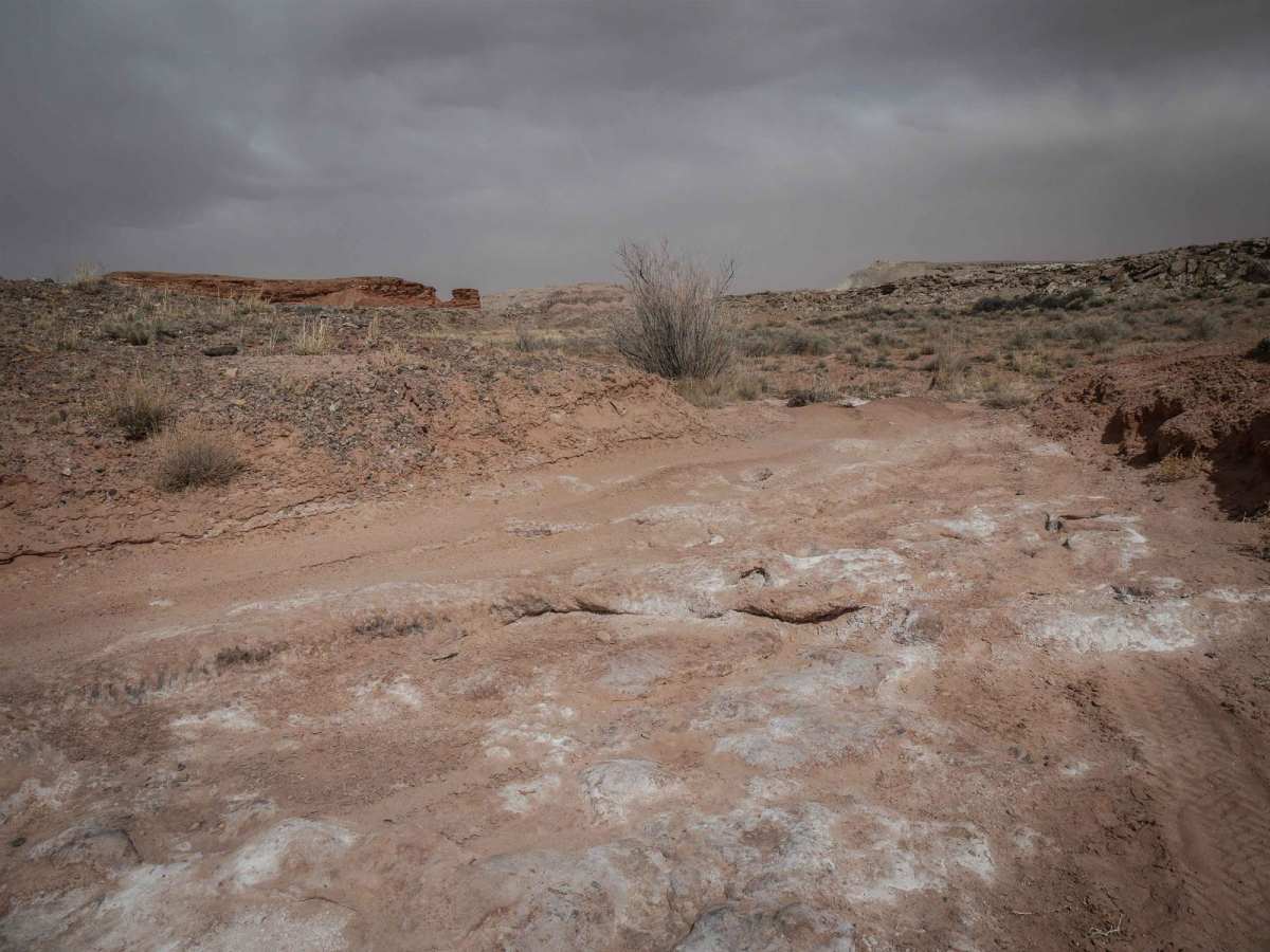 Salt Wash photo 5