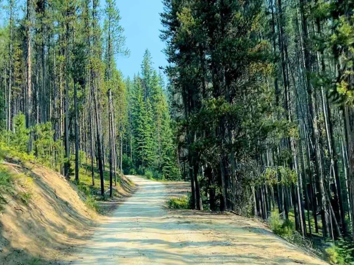 Crystal Mountain trail photo