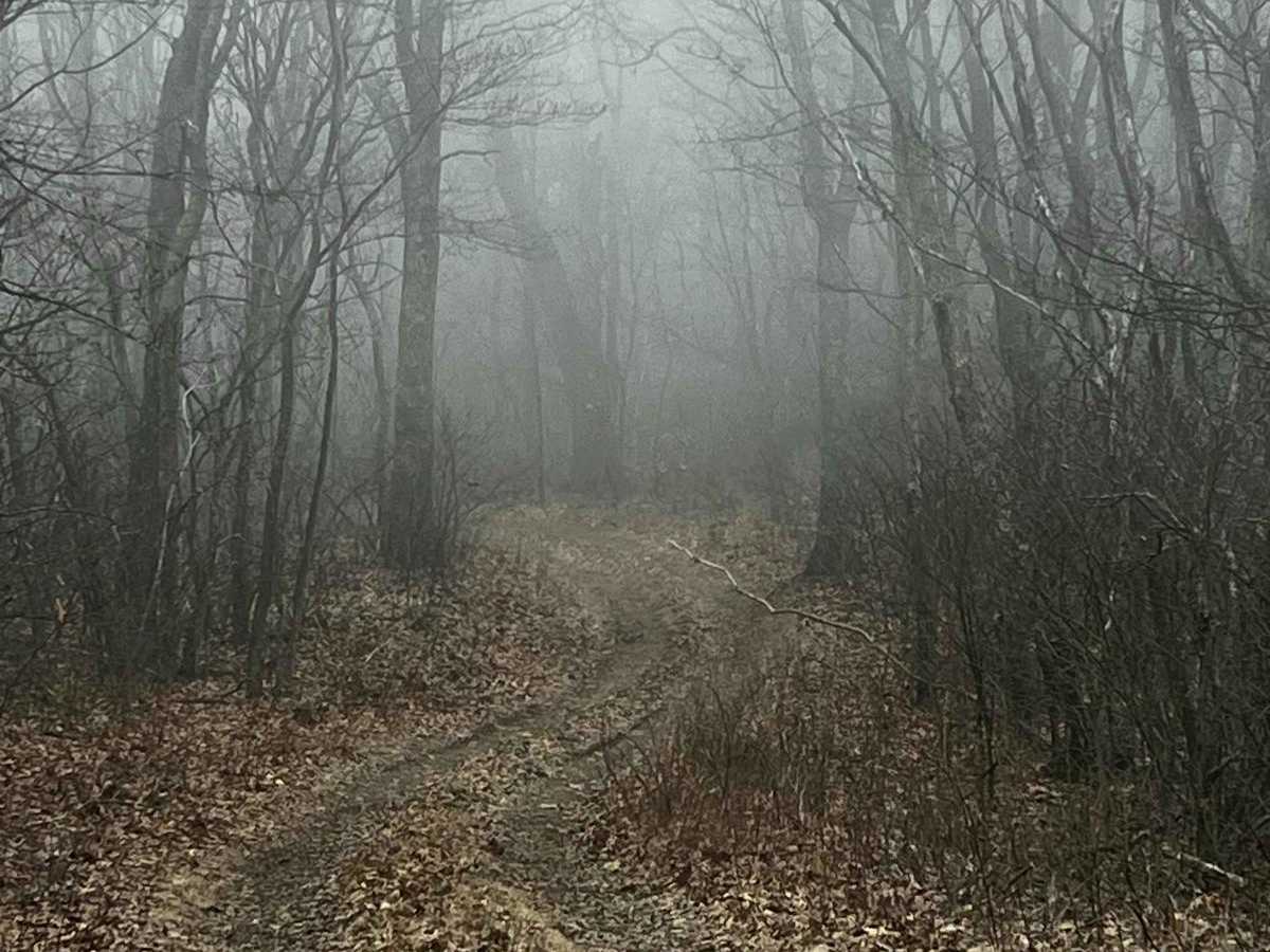 Allegheny trail photo