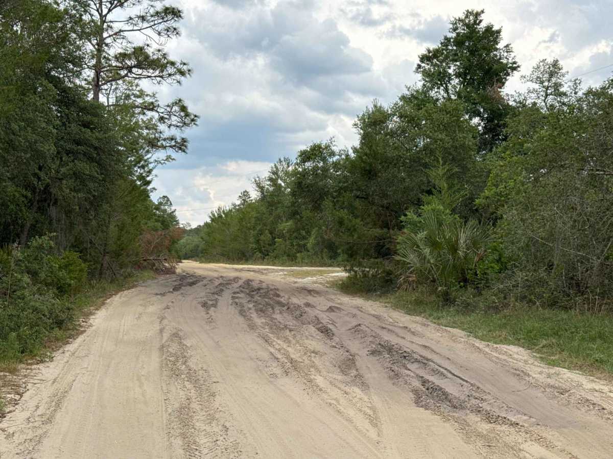 Spring Creek - ONF 6 photo 3