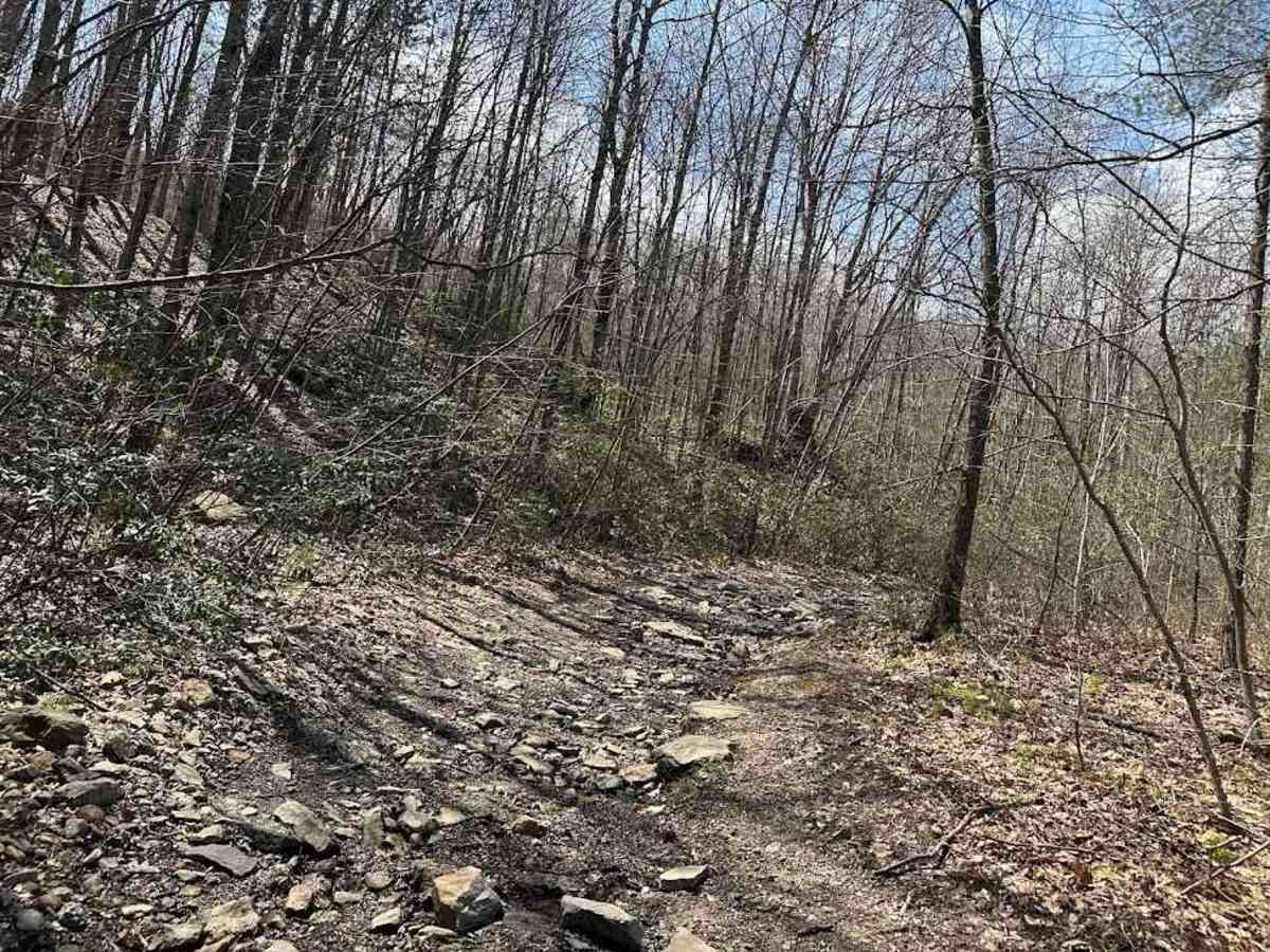 Ashland 115 photo 3