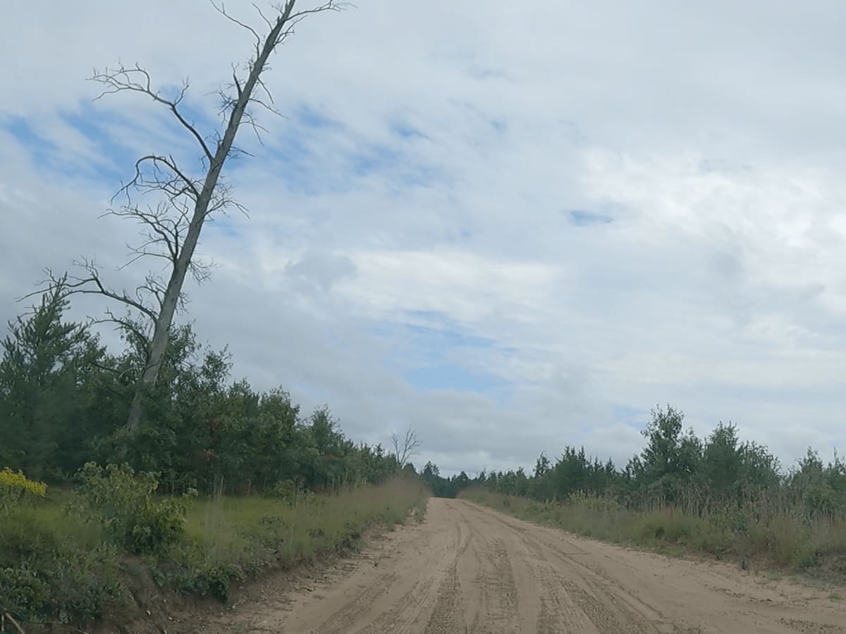 River Lake - NFS 4210 photo 5