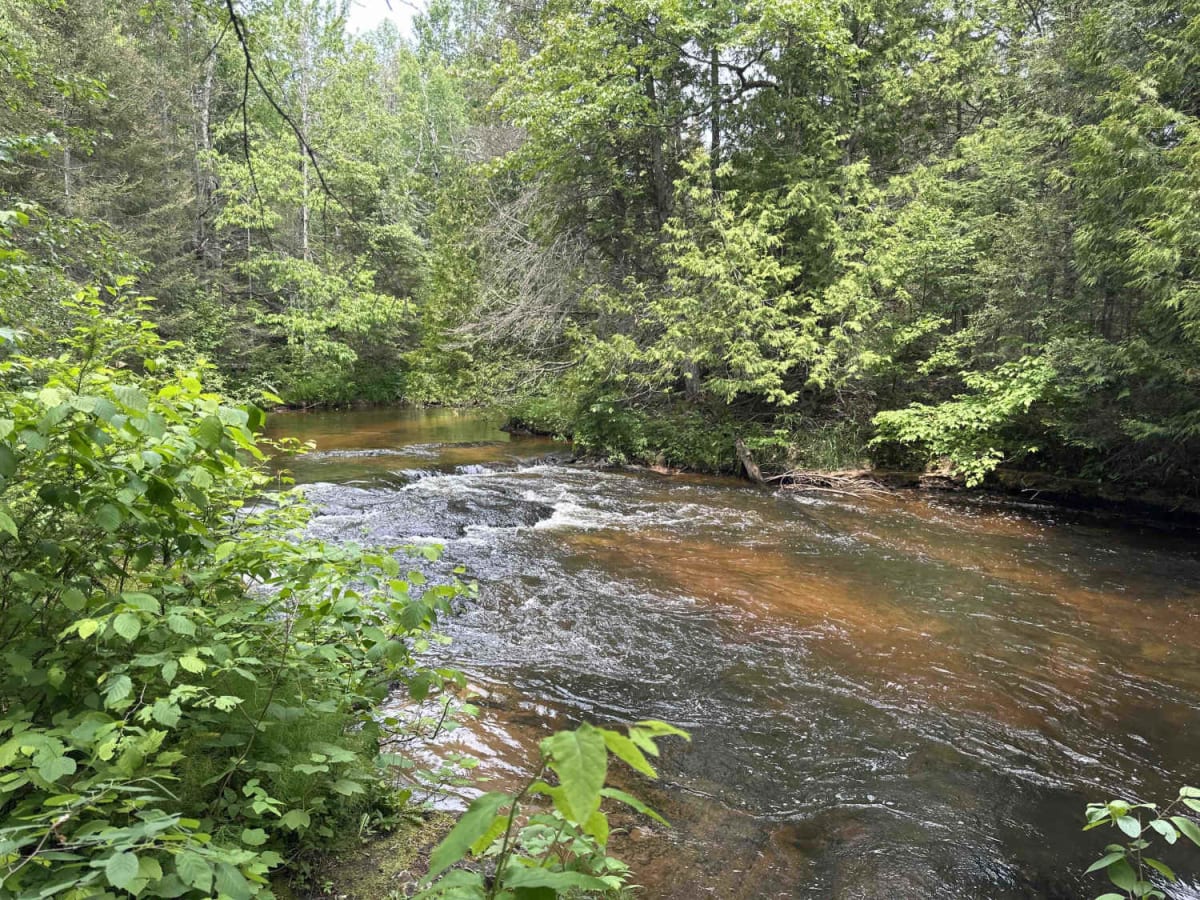 Rock Rapids spur photo 6