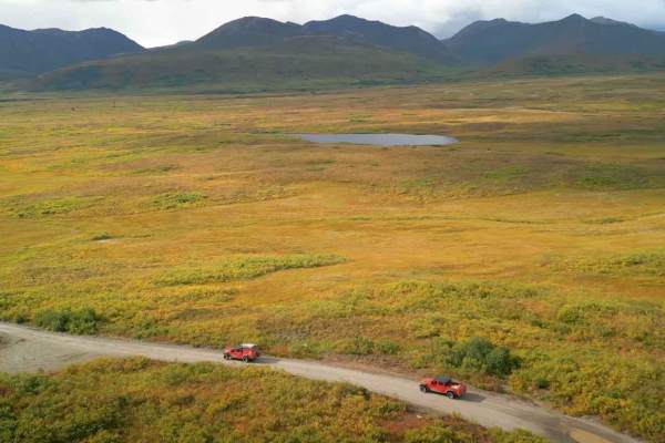 Petersville Road