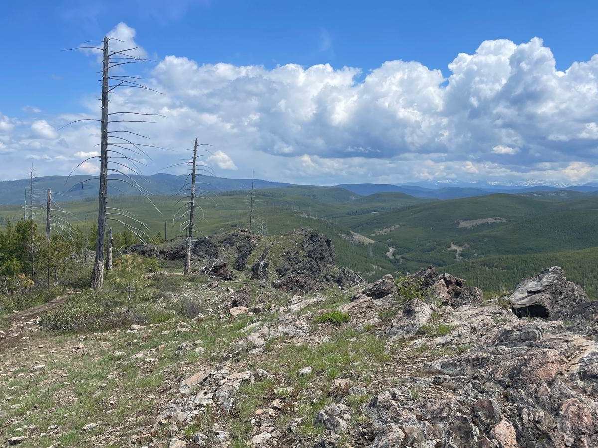 Winom/Frazier OHV Loop photo 4