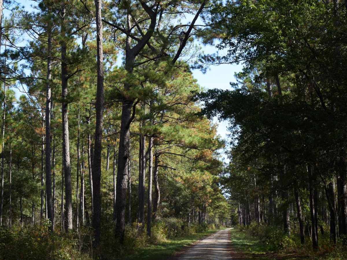 Little Hellhole Bay - FSR 158 photo 4