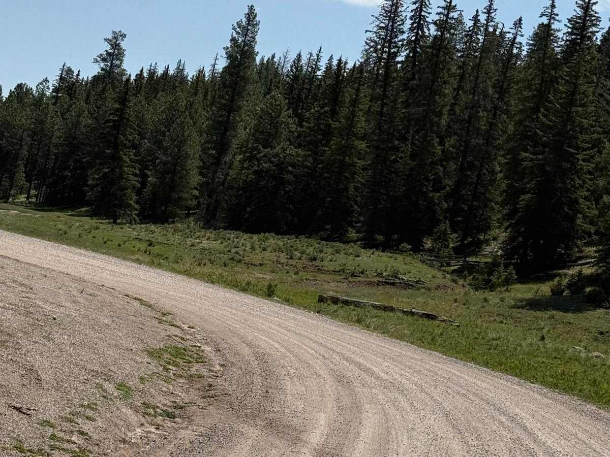 Teakettle Rock - FR 103 photo 4