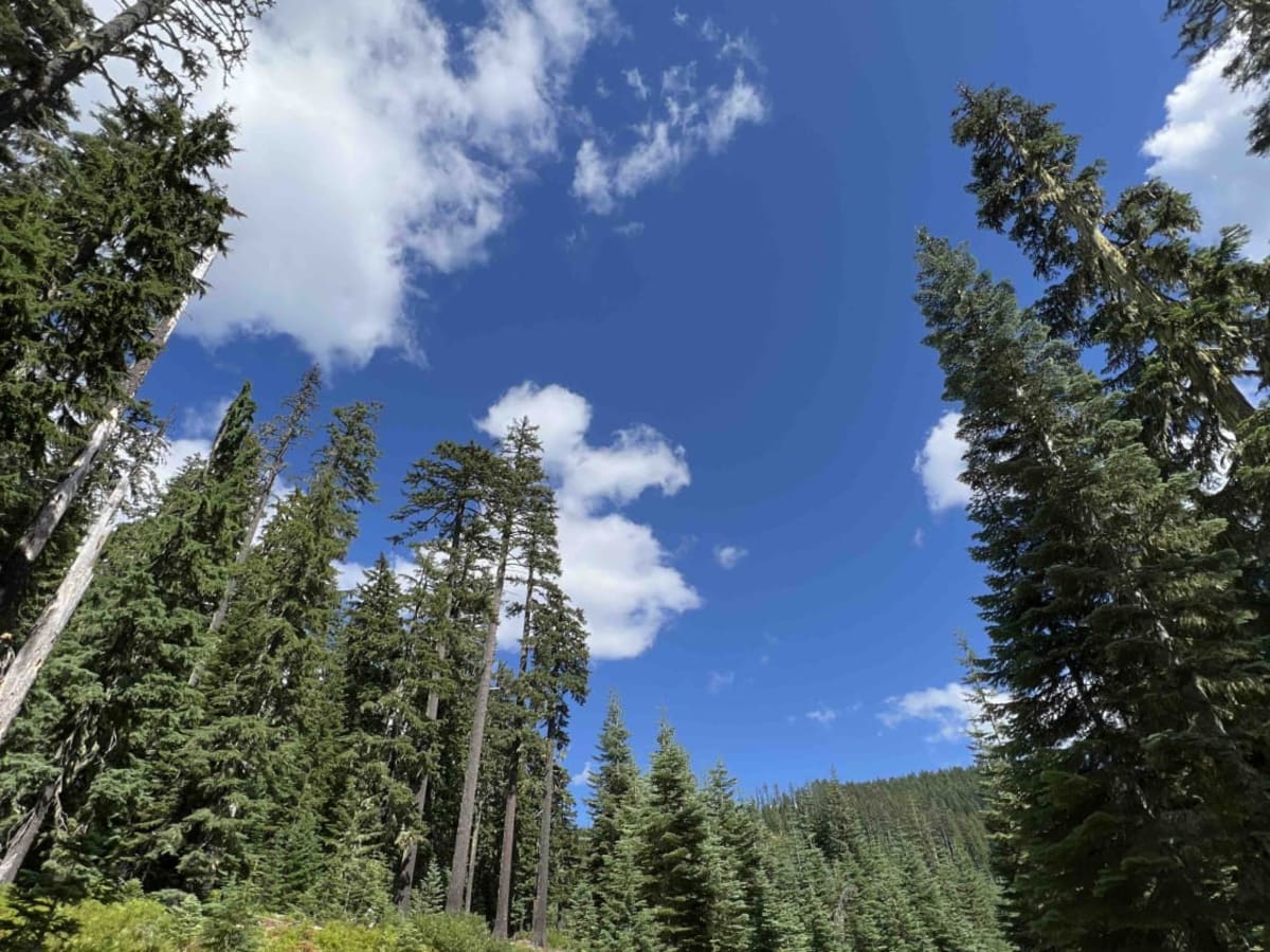 Timpanogas 2154 photo 6