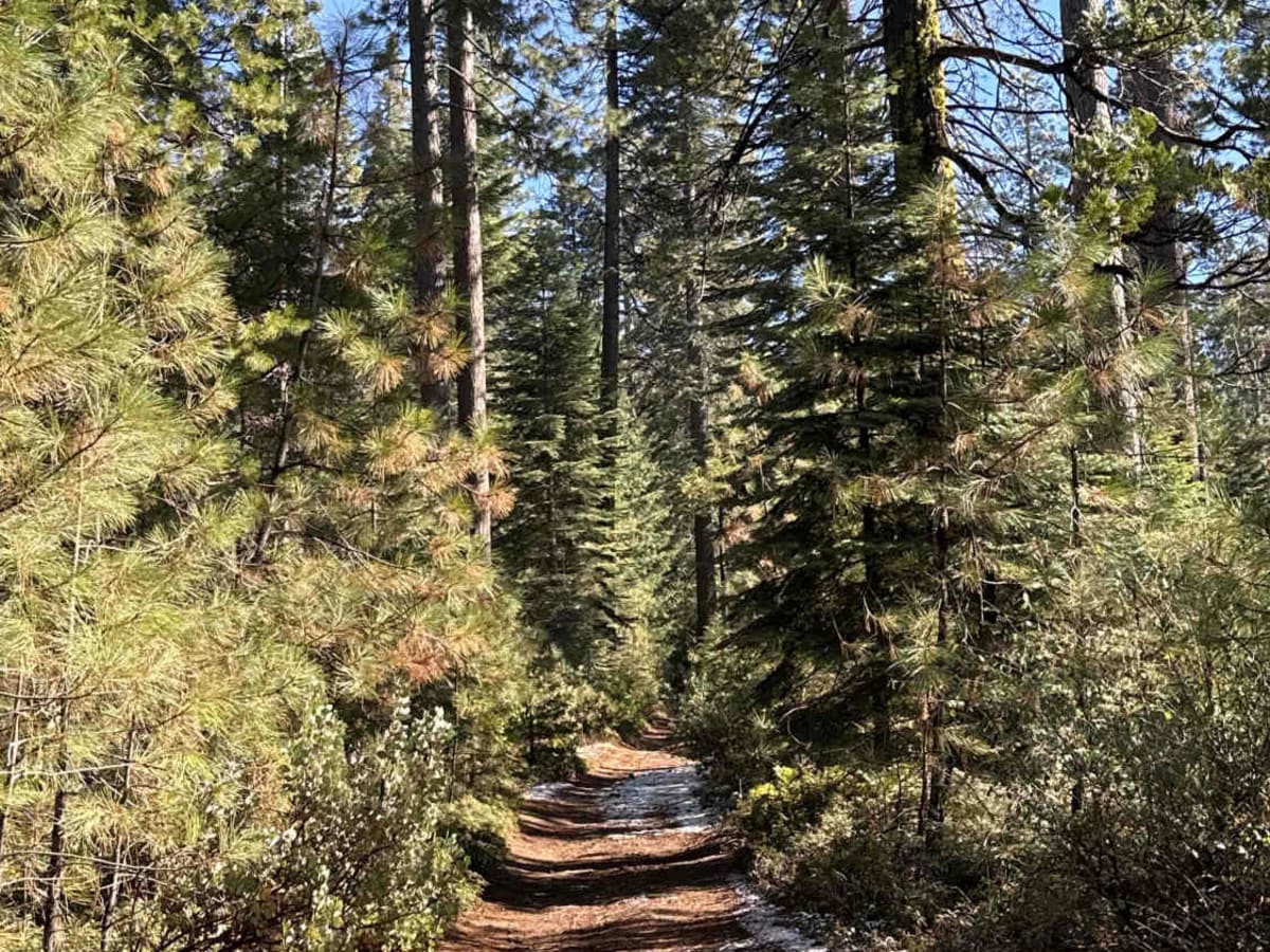 Gold Note 4WD trail photo