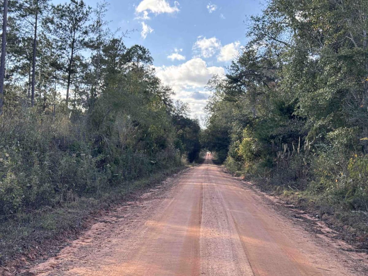 Chickasawhatchee Road photo 2