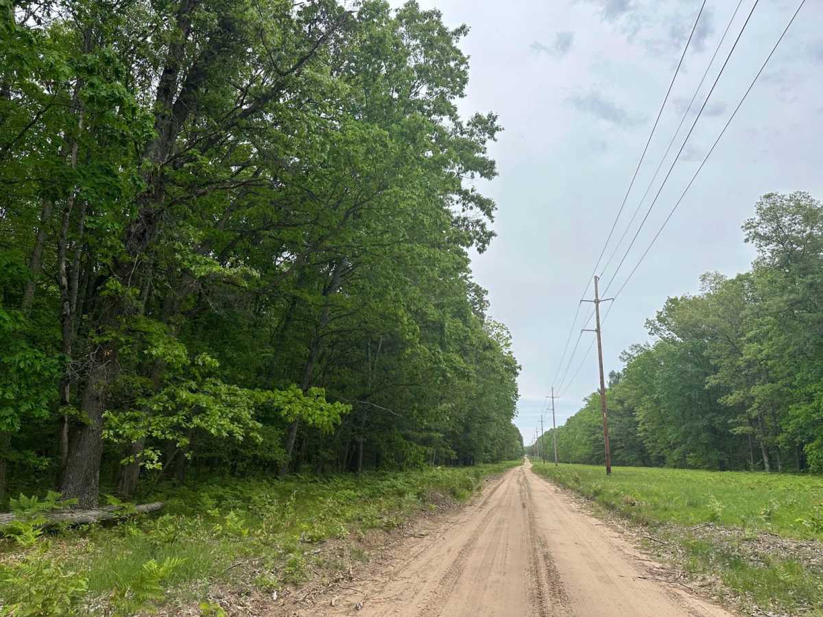 River Road photo 5